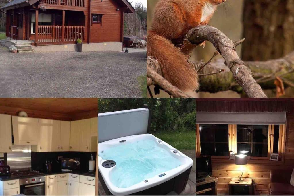 Red Squirrel Log Cabin With Hot Tub Keith Esterno foto